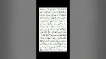 القران الكريم| القارئ ياسر الدوسري صفحة 16 سورة البقرة