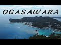 日本一遠い島⁉︎小笠原諸島に住むことになった｜ogasawara life