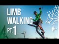 Limb walking tricks techniques for climbing trees srt pt1