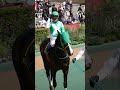 プリンシパルステークス、本馬場入場動画。 現地映像。 #競馬 #東京競馬場