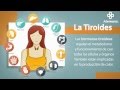 Aprenda información valiosa sobre tiroides