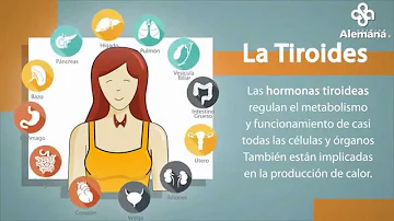 ¿Qué es el agotamiento tiroideo?