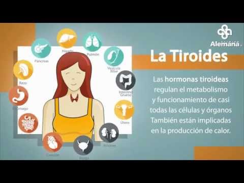 Video: La tiroidectomia causa ipotiroidismo?