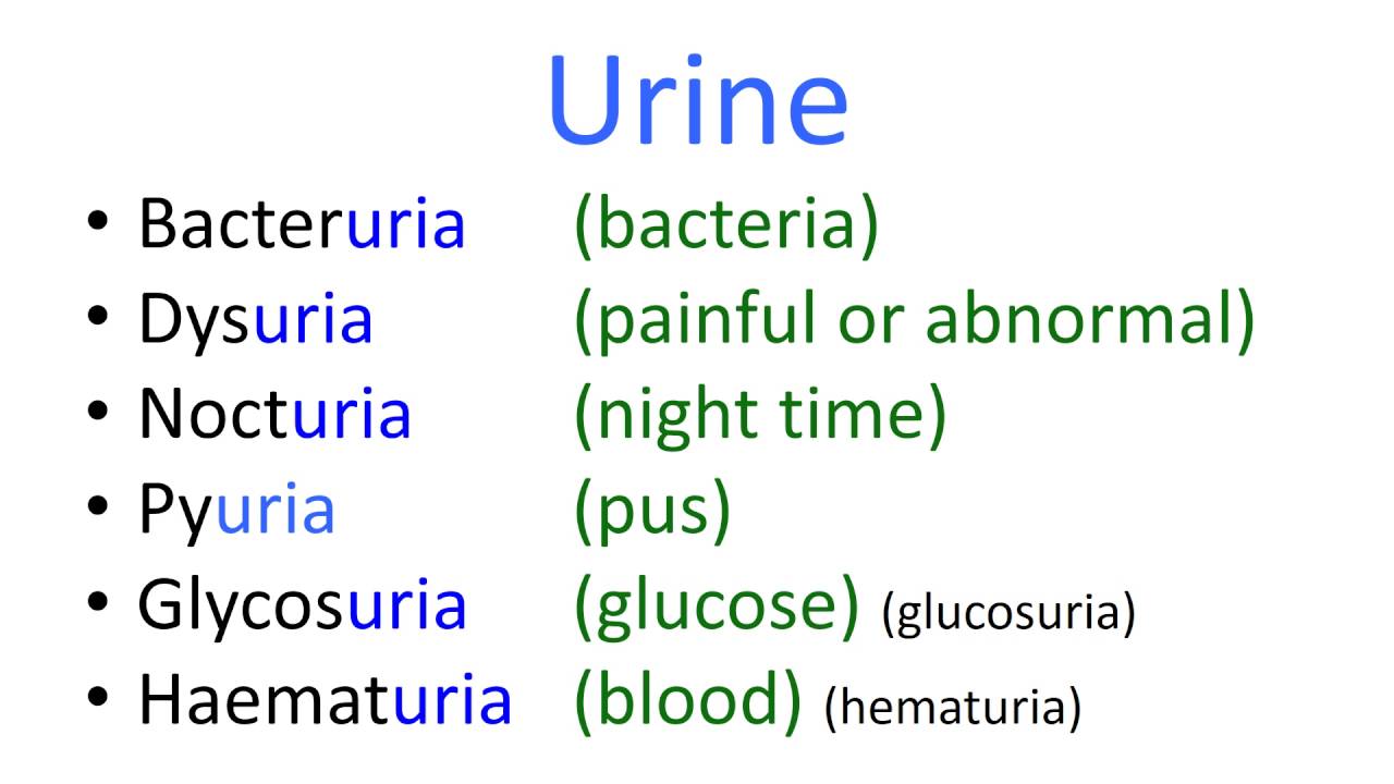 Oliguria meaning