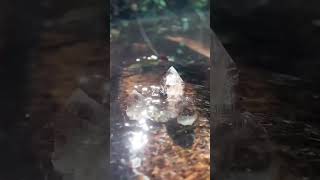 Embrace Healing Energy Within Crystals #healingcrystals #crystalshop #luckystones #healing