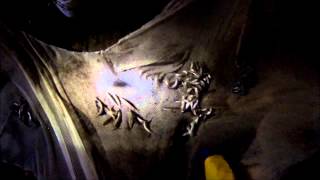 2013 Duluth Smelting