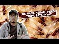 Ke Mana Kekatu Pergi Tanpa Sayapnya?