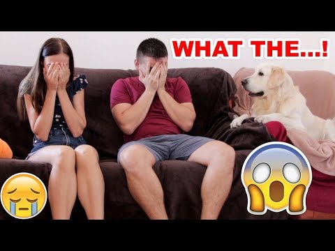 funny-dog-reaction-to-family-crying---prank-(best-reaction-ever)