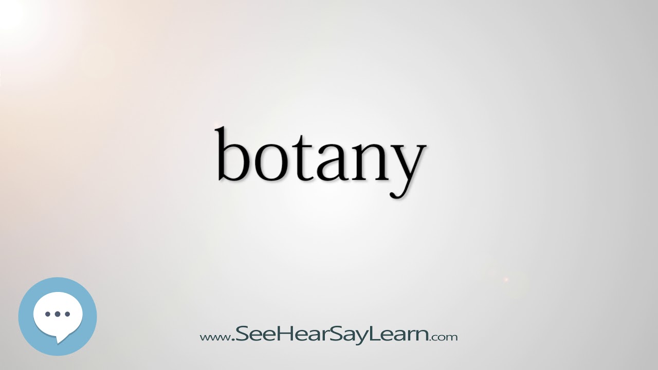 botany 5,000 SAT Test Words and Definitions Series 🔊 YouTube