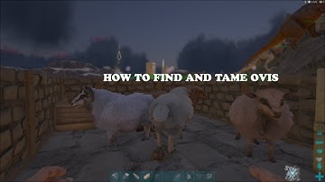 Ragnarok Map finding and taming Ovis.