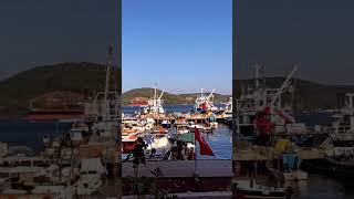 İstanbul | Sarıyer Liman #istanbul #sarıyer #reels #sea #port #boat #ship #boğaz #instagram