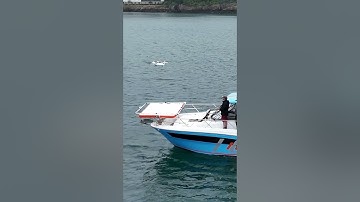 SKY MANTIS 2 precision landing on a moving vessel #drone #uav #radar