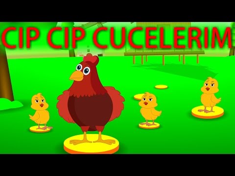 CIP CIP CUCELERIM | Ushaq mahnisi