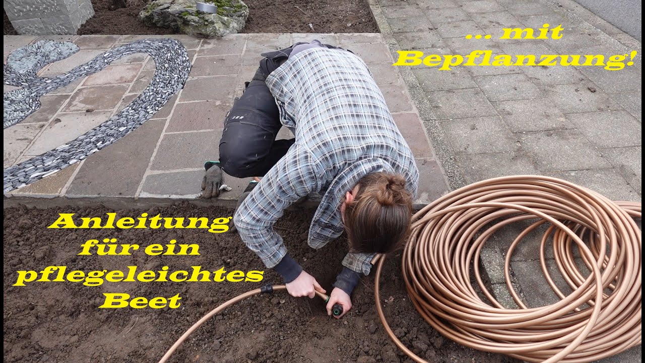 Tropfschläuche verlegen und Beet pflegeleicht gestalten