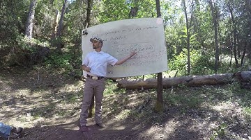 Parametric Curves - Idea for Intersections