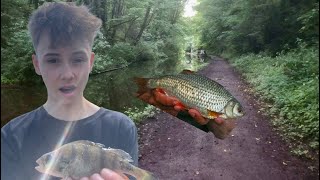 Fishing on UK CANALS and catching MIXED SPECIES