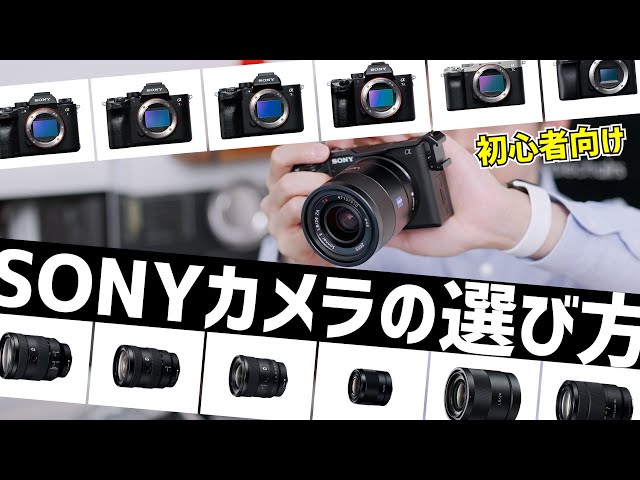初心者向け】これからソニーのカメラを買うならコレ！【おすすめ