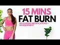 15 min fat burn home workout no jumping modifications  no equipment