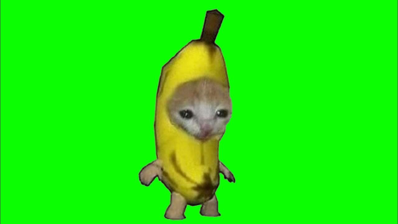 Как выглядит кот банан