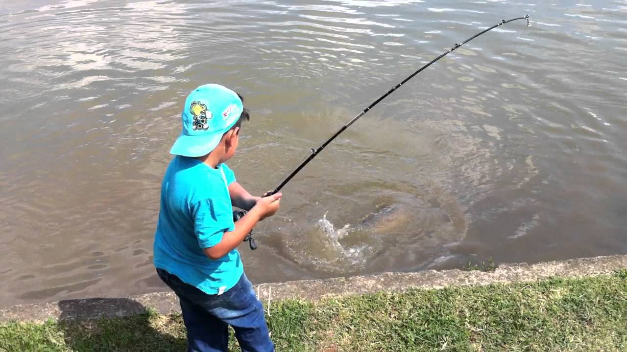 Fishing Park Pintadao Pescado Por Gustavo Dia 22 10 2011 Esse Menino E Fera Mesmo Youtube