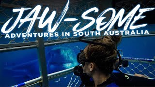 SHARK CAGE DIVING!  GREAT WHITE SHARKS & AUSTRALIAN SEA LIONS Port Lincoln, South Australia.