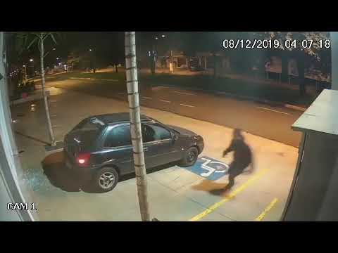 Ladrones más torpes del mundo