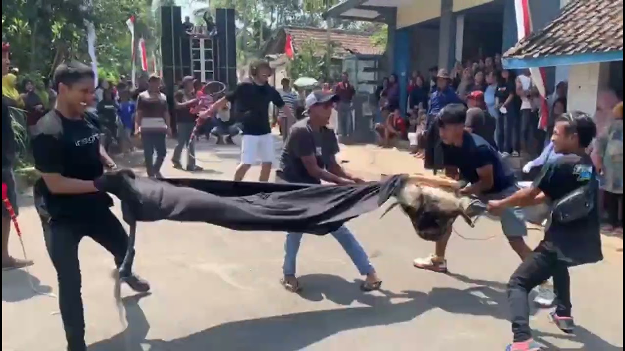 HUT RI KE 78 & GREBEG SURO  20-8-2023 Desa Kedawung Majang Tengah Dampit Malang