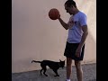 Ravena e bola de basquete - jogada 2