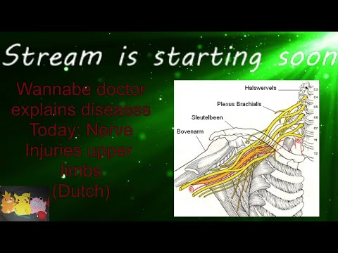 Studystream: Zenuwletsels van de bovenste ledematen