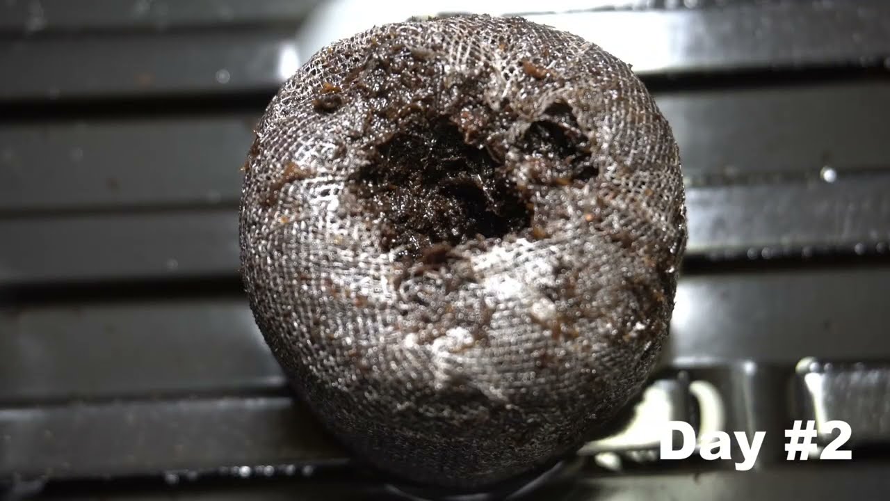 Hydroponic/Aeroponic grow experiment #1