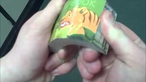 Persistence of vision