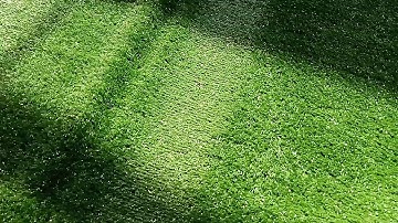 Thảm cỏ nhân tạo tại thành phố Hồ Chí Minh