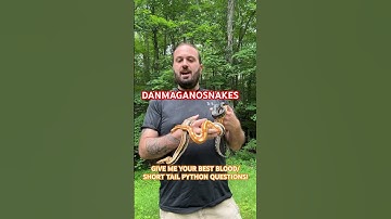 WE NEED YOUR INPUT!! #snaketalk #reptile #snake #animal #bloodpython