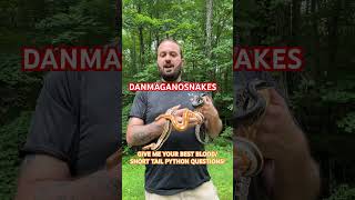WE NEED YOUR INPUT!! #snaketalk #reptile #snake #animal #bloodpython
