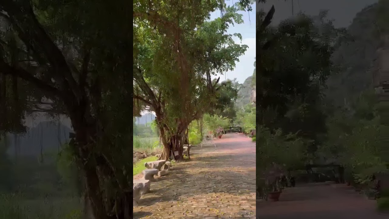 #hillstation #pool #village #vietnam #ninhbình #travel #nature #viralvideo