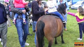 Il cavallo come giostra Arzignano 25 Aprile 2016