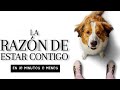 La Razón de estar Contigo