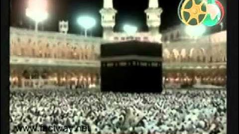 تلاوة خاشعة للشيخ خالد الغامدي من صلاة الفجر 2