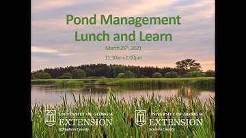 Pond Management Lunch and Learn 3.26.2021