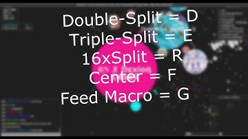 Gota.io Macro | by Dexion