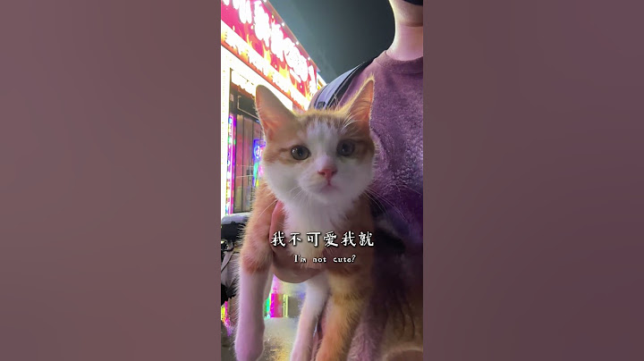 谁敢闻她嘴？ 说是谁不喜欢她，要被一口吃掉哦#猫咪 #萌宠出道计划 #猫咪的迷惑行为