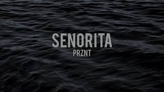 prznt - senorita (slowed)