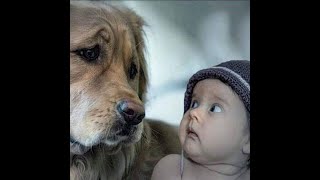 Don't be afraid, I'm kind!  Funny video with dogs, cats and kittens!