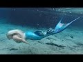 Bill's Amazing Swim With A Mermaid