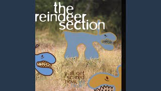 Video thumbnail of "The Reindeer Section - If Everything Fell Quiet"