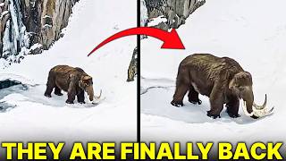 Download Lagu Scientists Discovered a Living Fossil That Shouldn’t Exist MP3 Download Lagu Scientists Discovered a Living Fossil That Shouldn’t Exist MP3