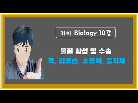 10강. 세포의 구조와 기능 - 핵, 리보솜, 소포체, 골지체