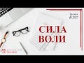 # 397 Сила воли/ записи Нарколога