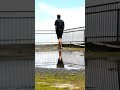 monolog