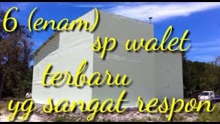 Kumpulan suara Walet terbaik (tahun 2019)